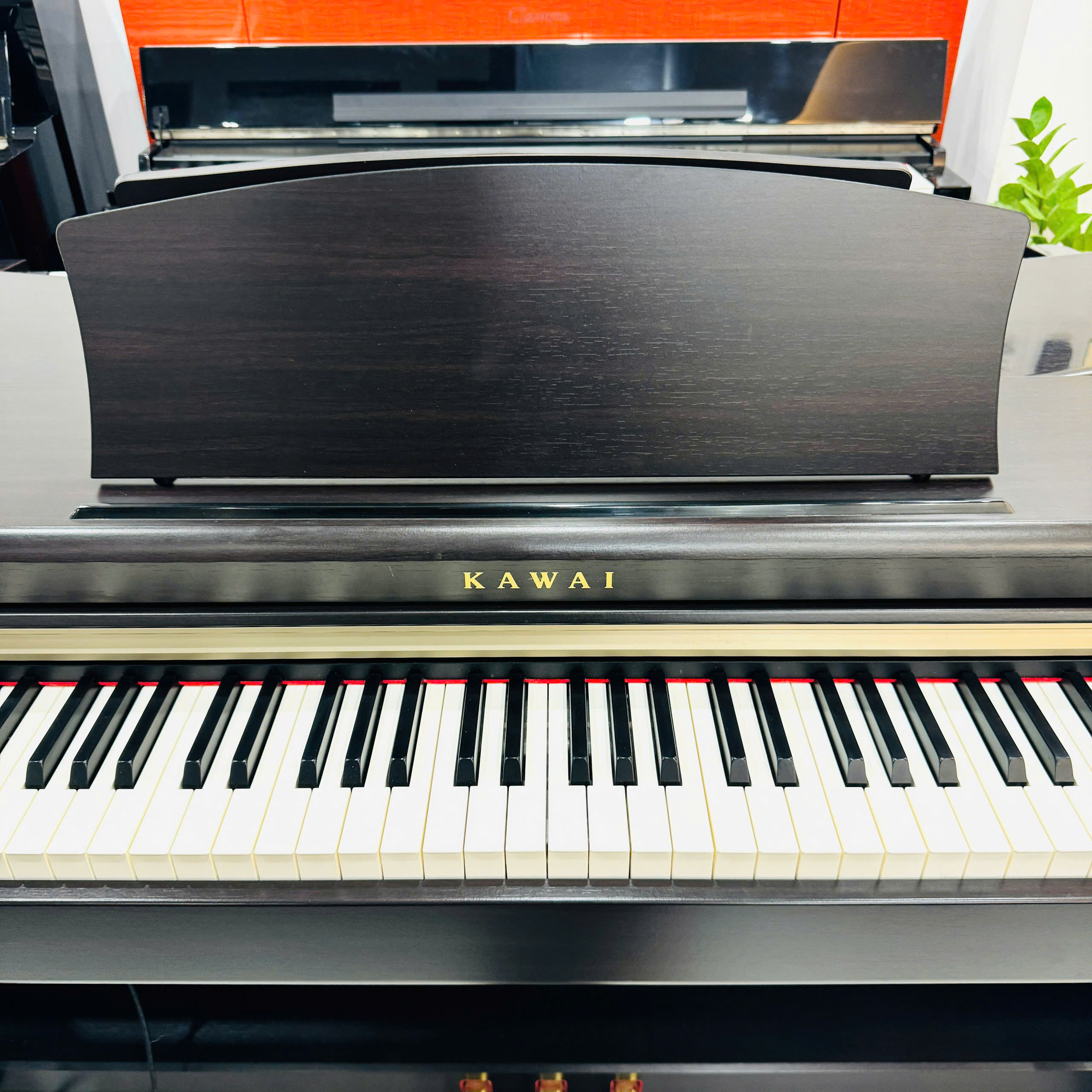 Đàn Piano Điện Kawai CN24R: Đỉnh Cao Công Nghệ Trong Phân Khúc Đàn Piano Giá Rẻ
