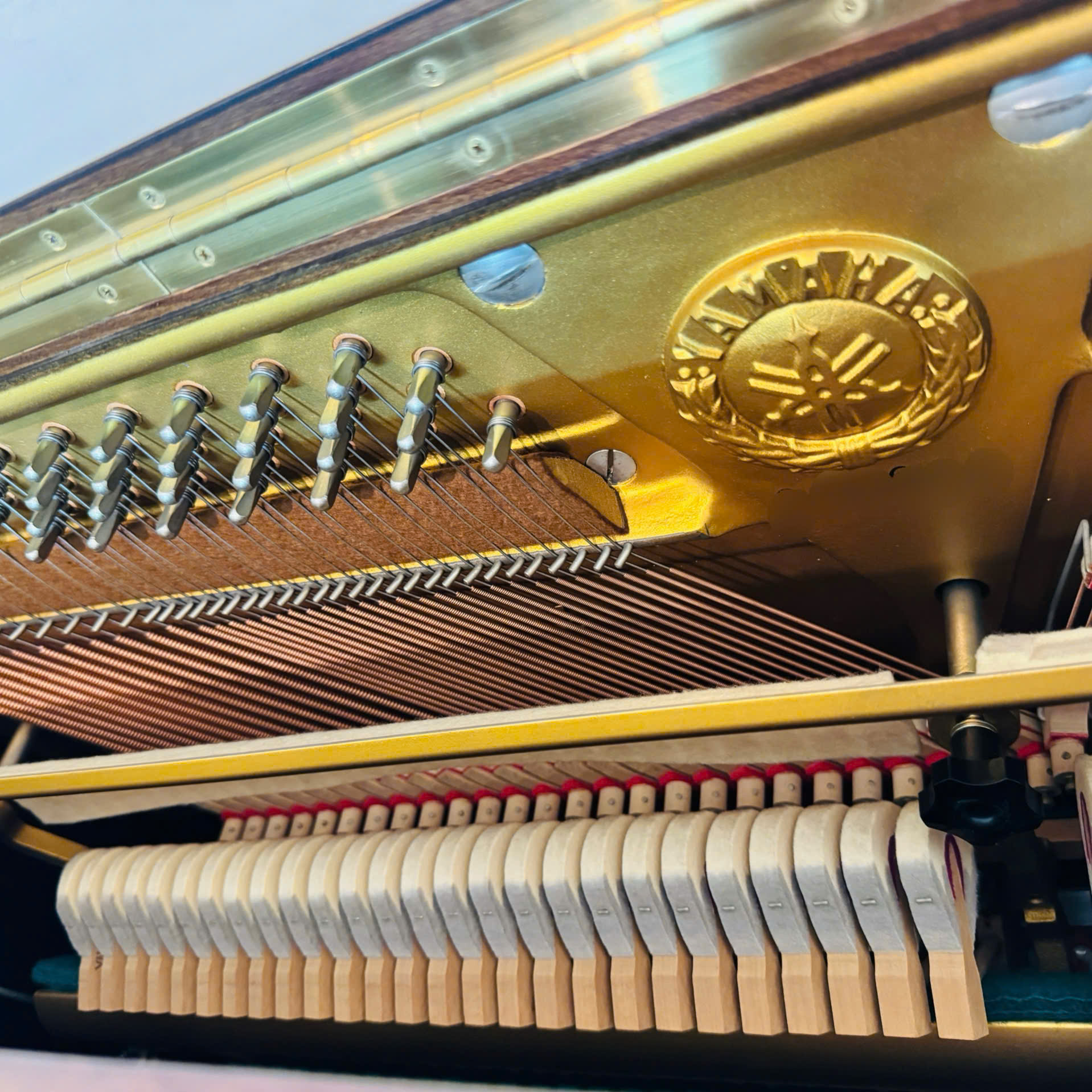 Piano Cơ Yamaha U5B Đàn Upright Nhật Bản Nguyên Bản Giá Tốt 5 Piano Cơ Yamaha U5B Đàn Upright Nhật Bản Nguyên Bản Giá Tốt - Ảnh 5