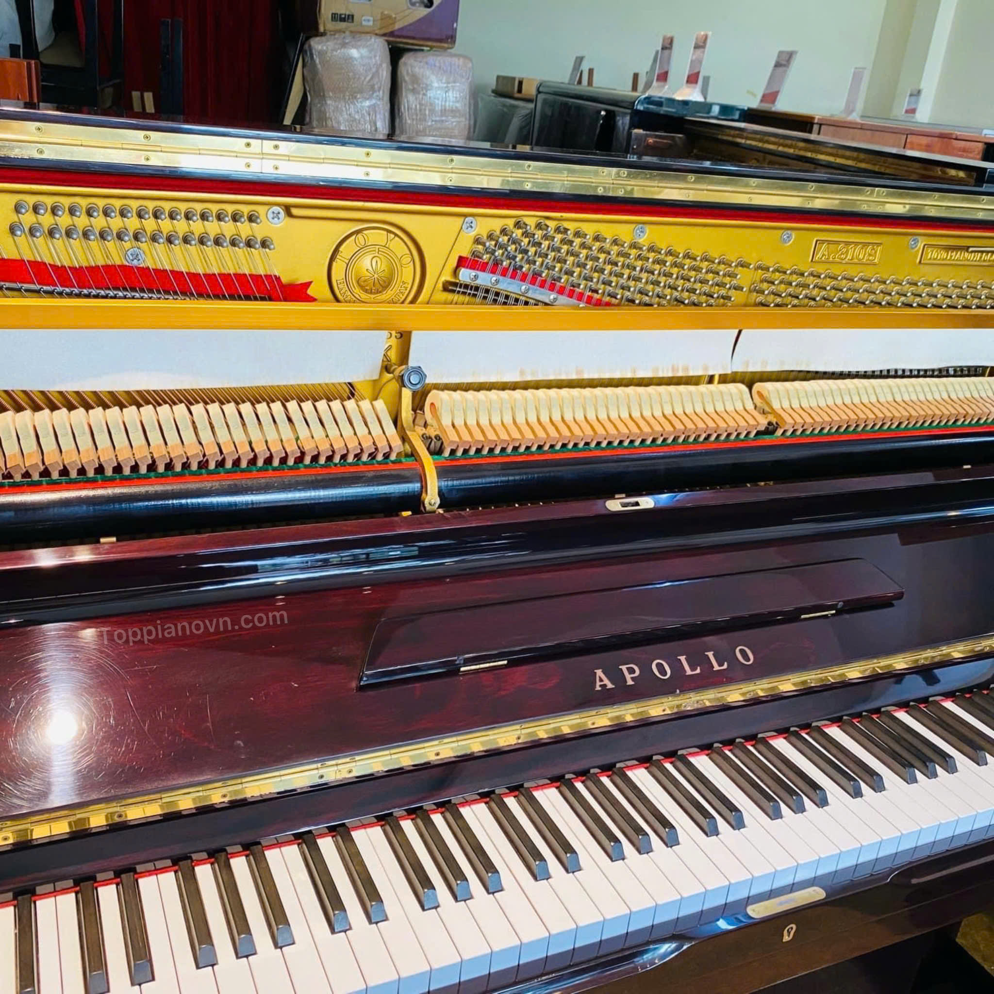 Piano Cơ Apollo A310S Nhật Bản Đẹp Giá Tốt Nhập Khẩu 2 Piano Cơ Apollo A310S Nhật Bản Đẹp Giá Tốt Nhập Khẩu - Ảnh 2