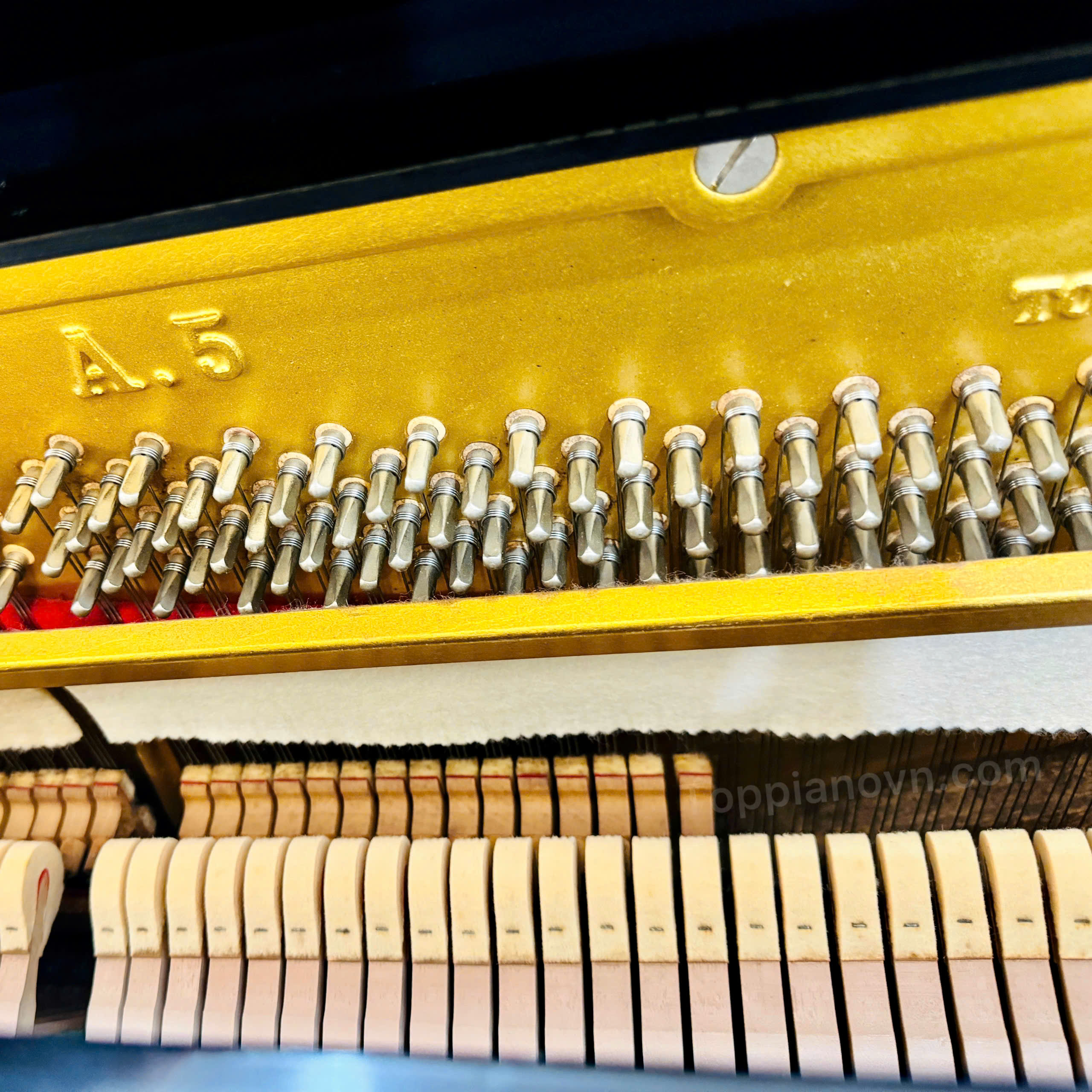 Piano Cơ Apollo A5 Nhật Bản Đẹp Giá Tốt Nhập Khẩu 11 Hình ảnh chi tiết dòng sản phẩm đàn piano cơ Apollo A5